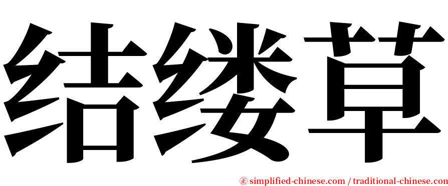 结缕草 serif font