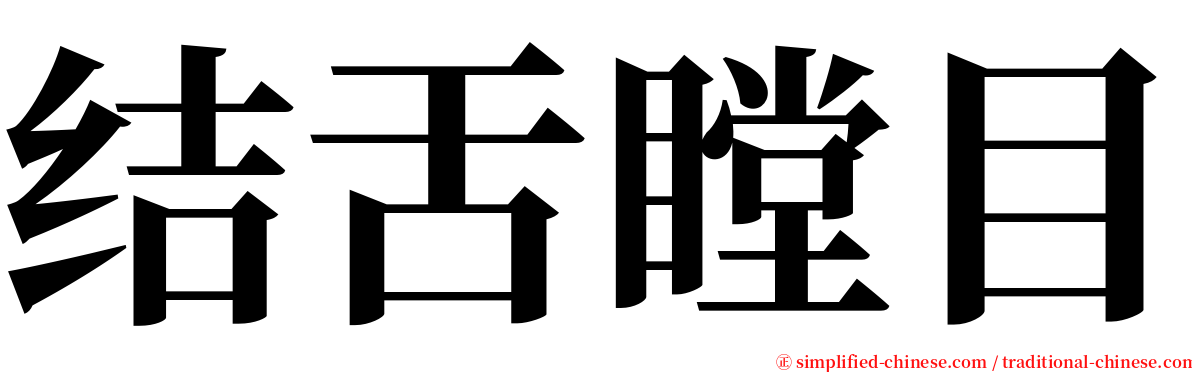 结舌瞠目 serif font