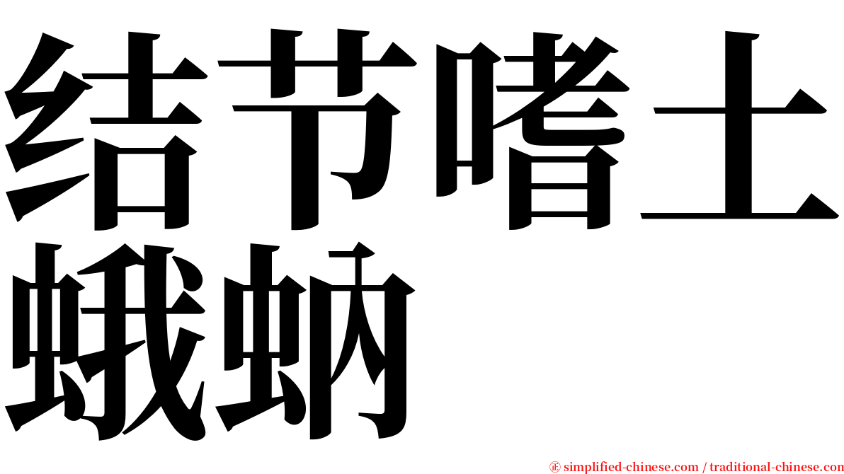 结节嗜土蛾蚋 serif font