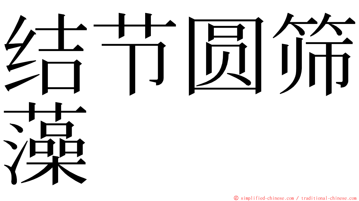 结节圆筛藻 ming font