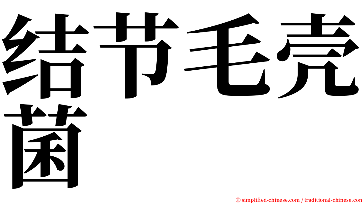 结节毛壳菌 serif font