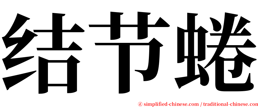 结节蜷 serif font