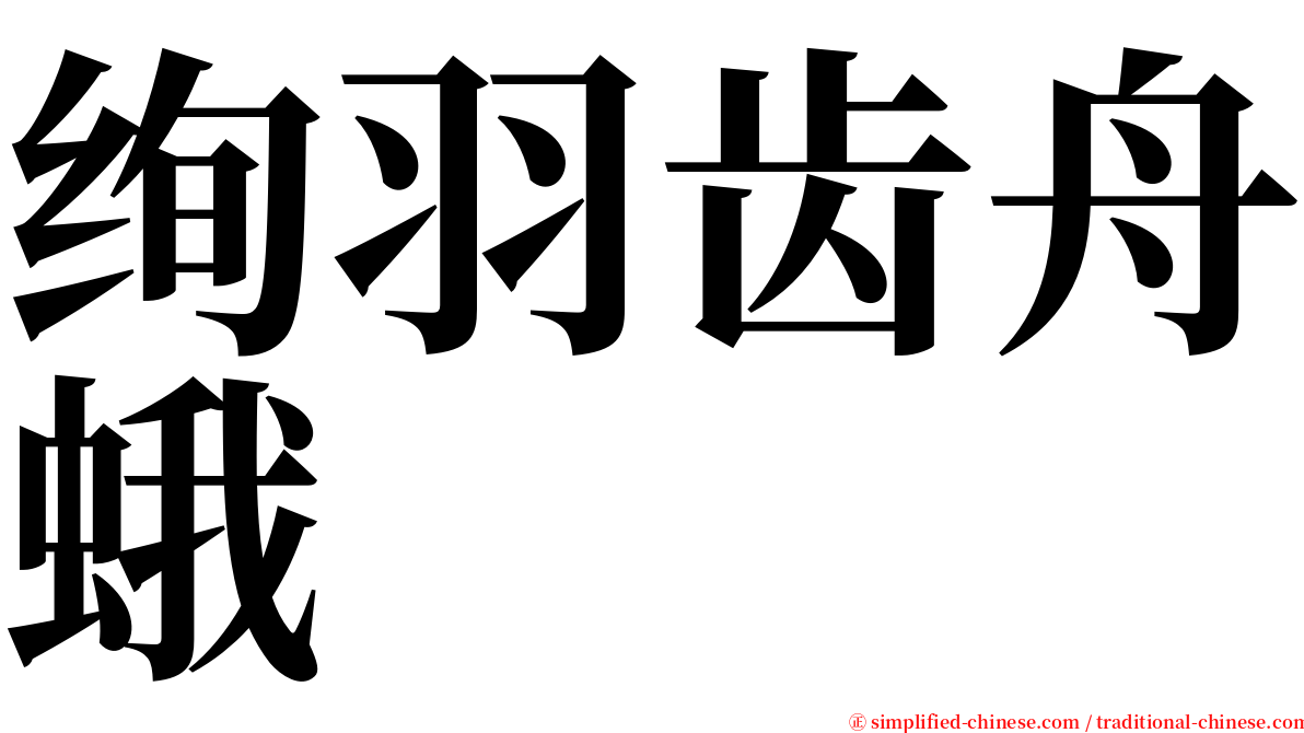 绚羽齿舟蛾 serif font