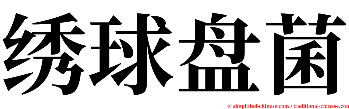 绣球盘菌 serif font
