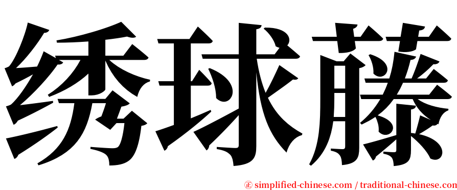 绣球藤 serif font