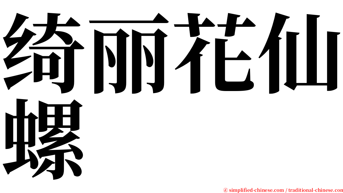 绮丽花仙螺 serif font