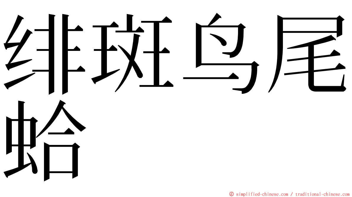 绯斑鸟尾蛤 ming font