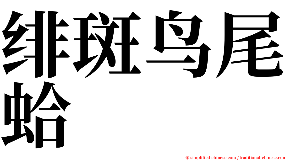 绯斑鸟尾蛤 serif font