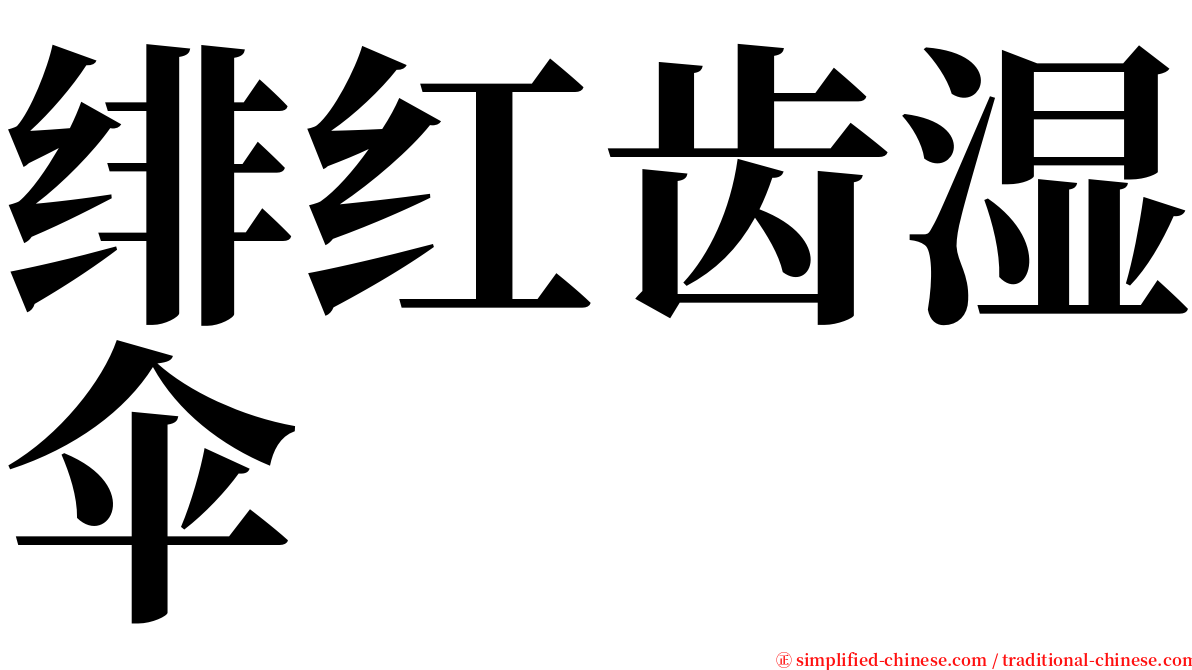 绯红齿湿伞 serif font