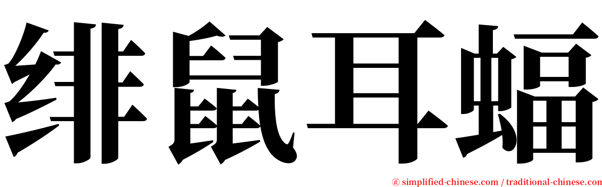 绯鼠耳蝠 serif font