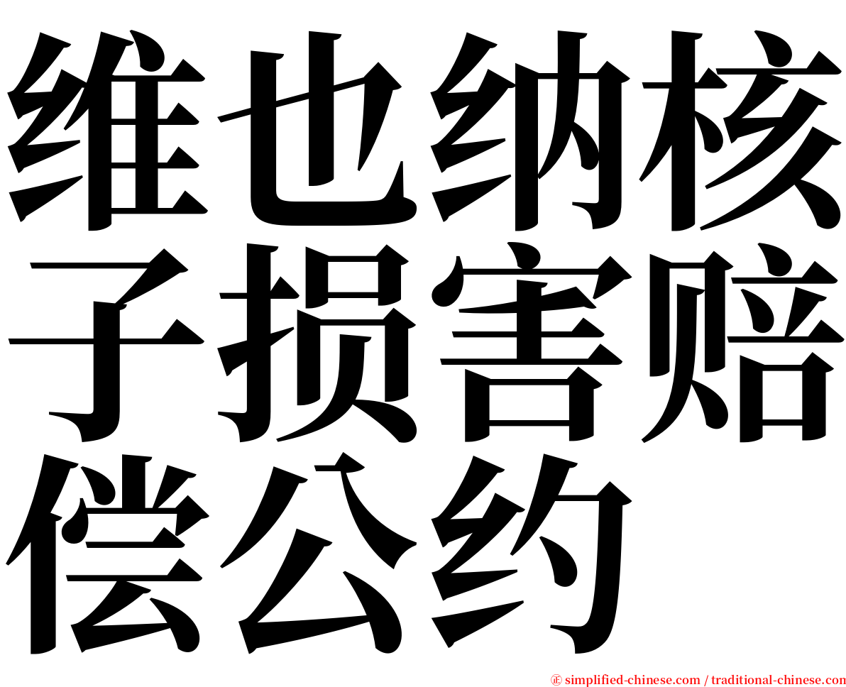 维也纳核子损害赔偿公约 serif font