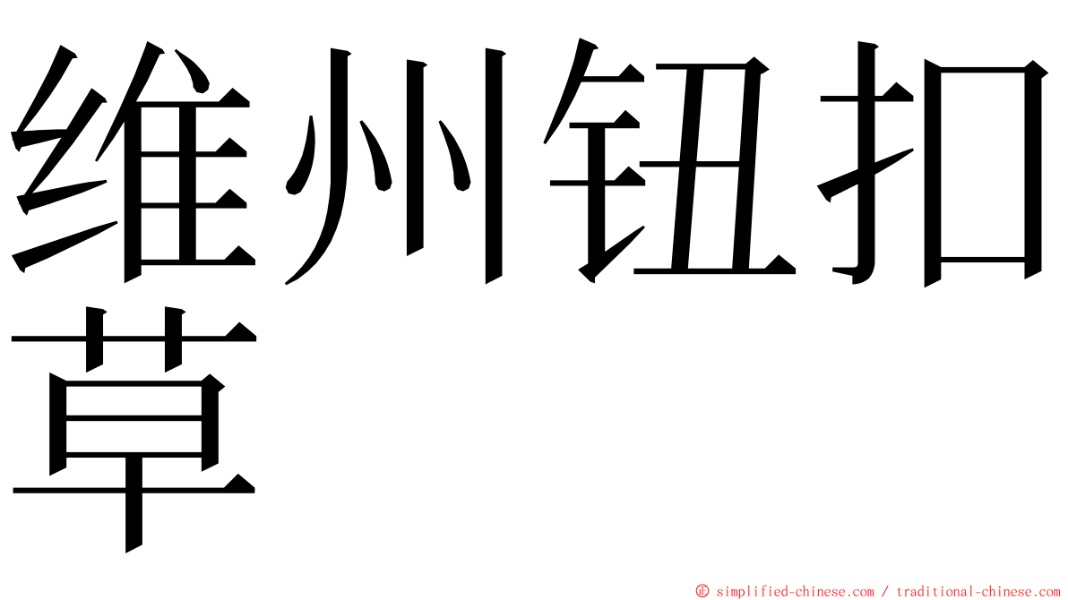 维州钮扣草 ming font