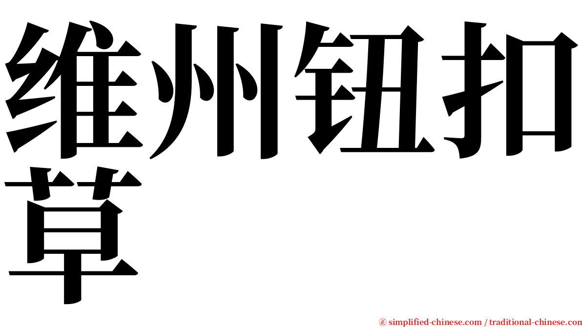 维州钮扣草 serif font