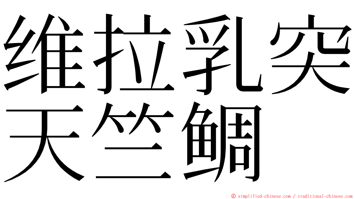 维拉乳突天竺鲷 ming font