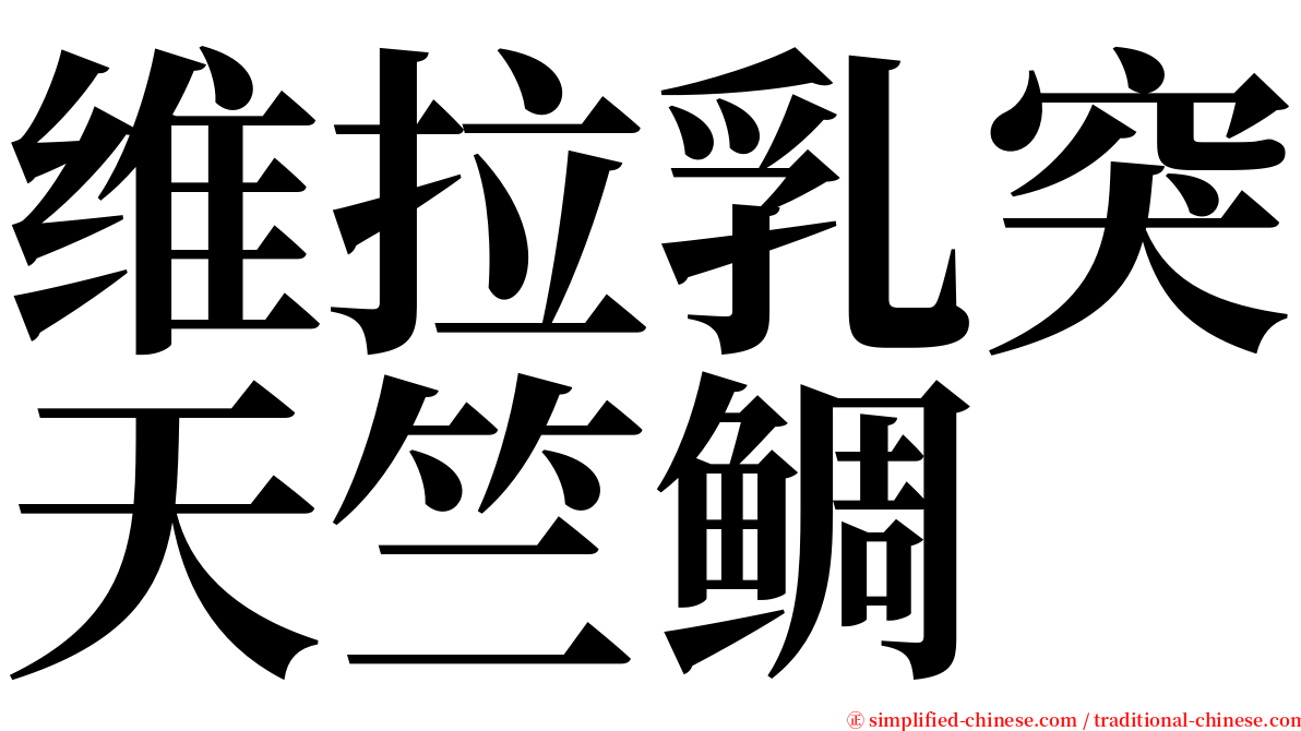 维拉乳突天竺鲷 serif font