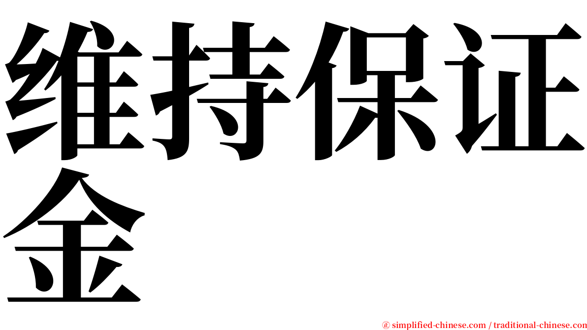 维持保证金 serif font