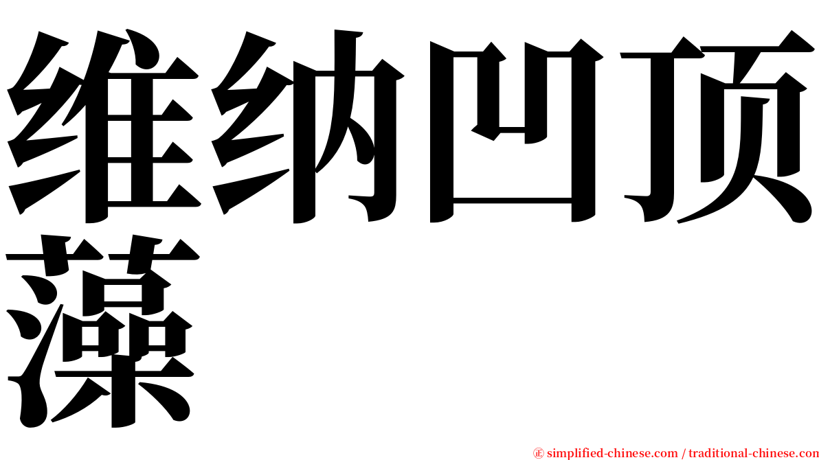 维纳凹顶藻 serif font