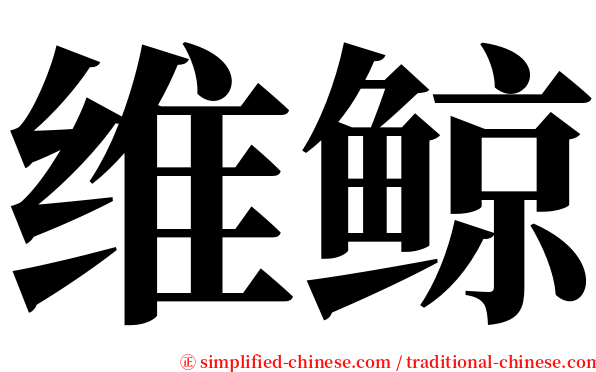 维鲸 serif font