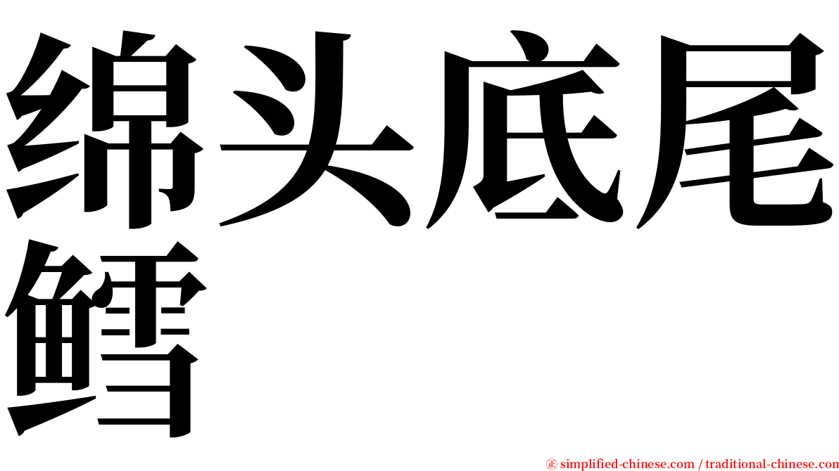 绵头底尾鳕 serif font