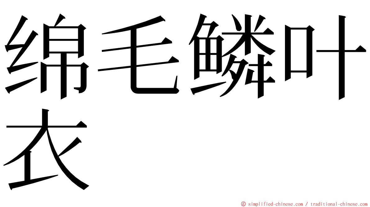 绵毛鳞叶衣 ming font