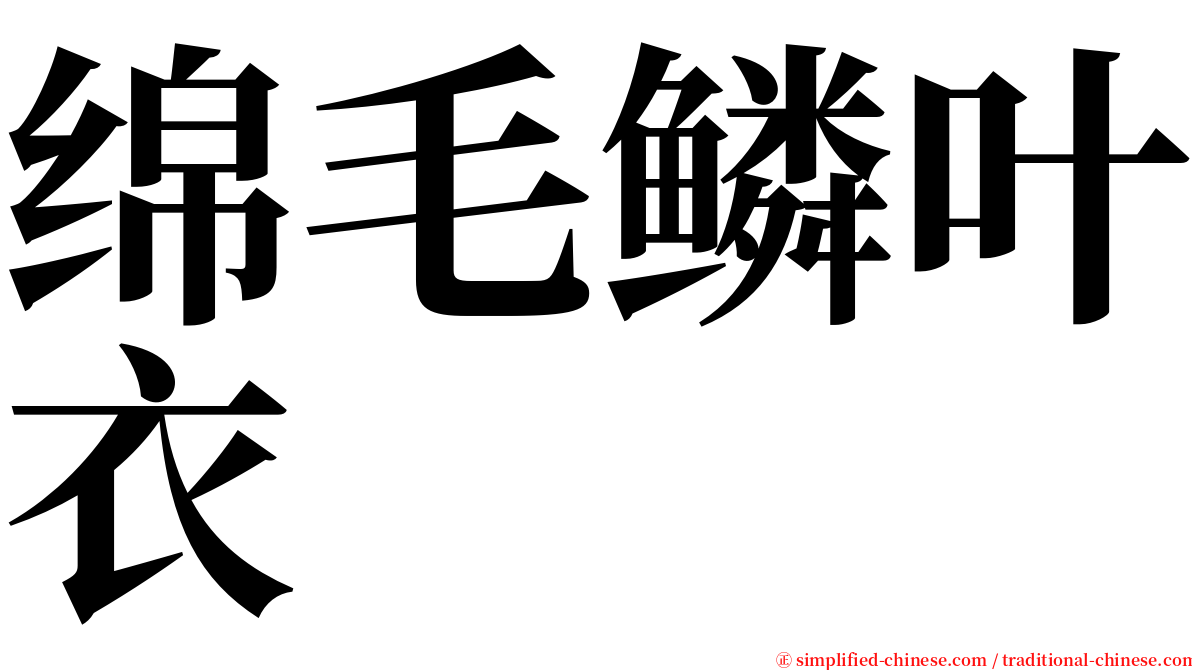 绵毛鳞叶衣 serif font