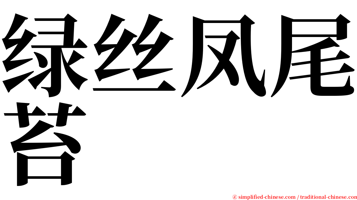 绿丝凤尾苔 serif font