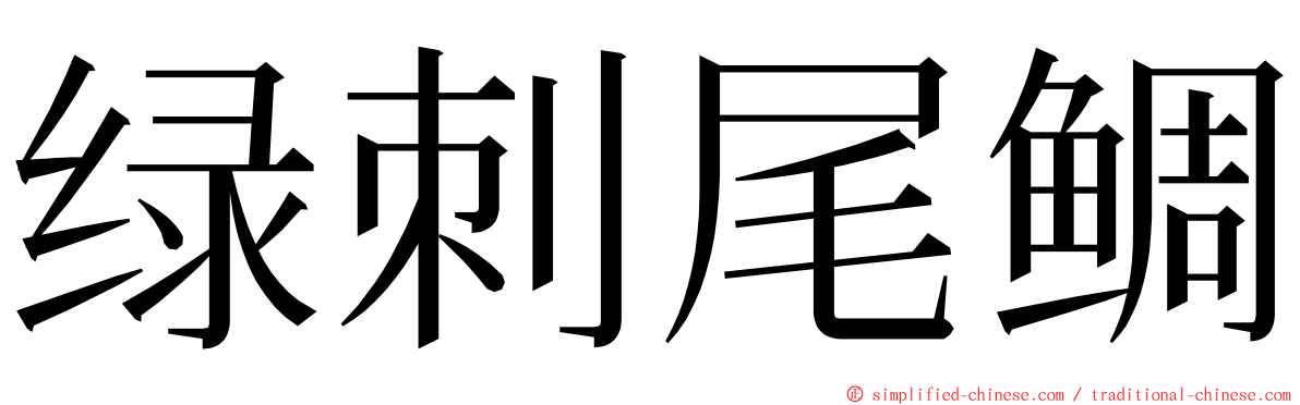 绿刺尾鲷 ming font