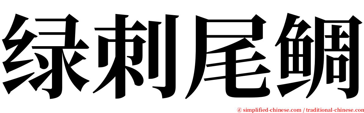 绿刺尾鲷 serif font