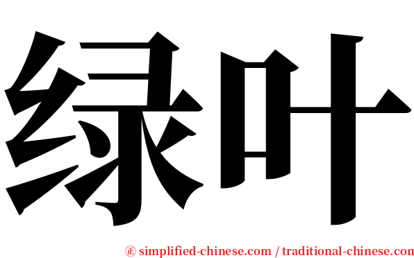 绿叶 serif font