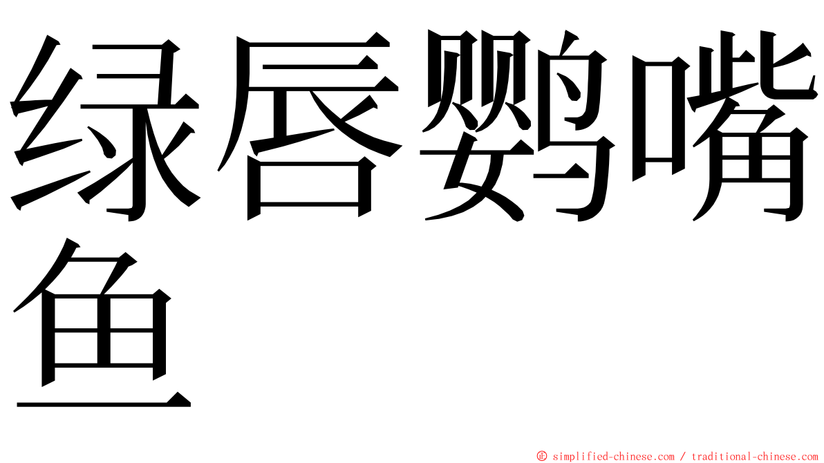 绿唇鹦嘴鱼 ming font