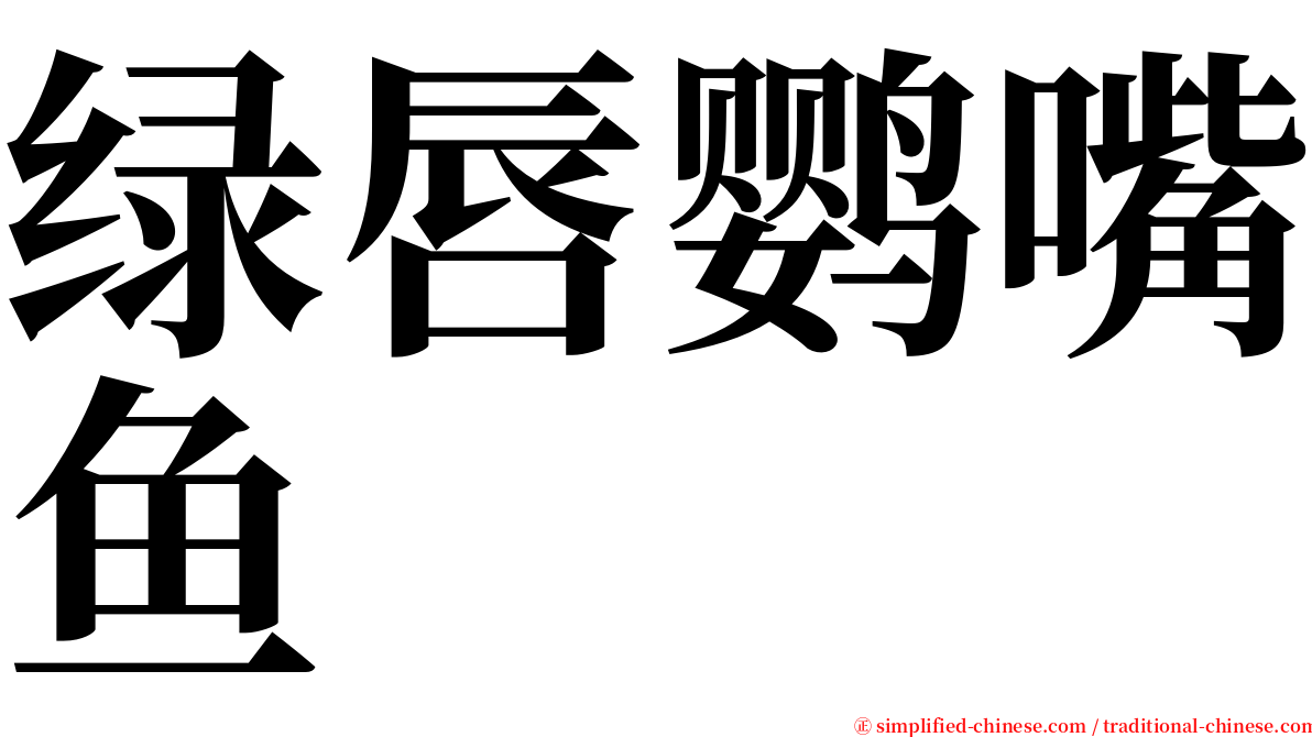 绿唇鹦嘴鱼 serif font