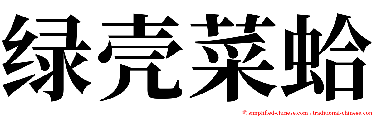 绿壳菜蛤 serif font