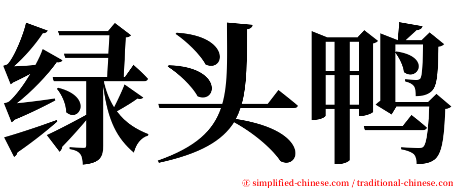 绿头鸭 serif font