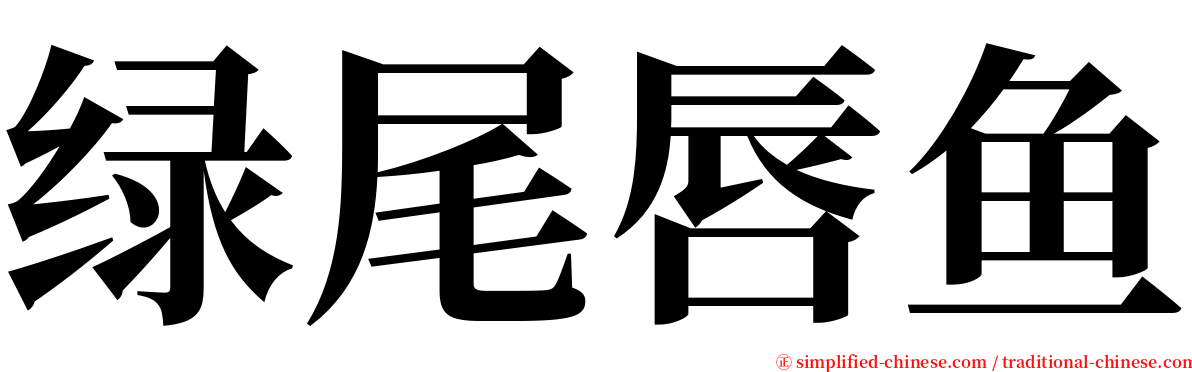 绿尾唇鱼 serif font