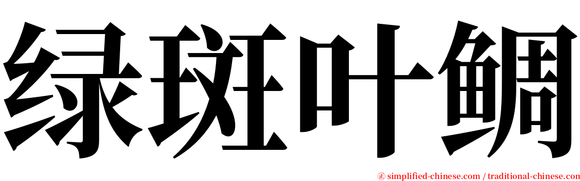 绿斑叶鲷 serif font