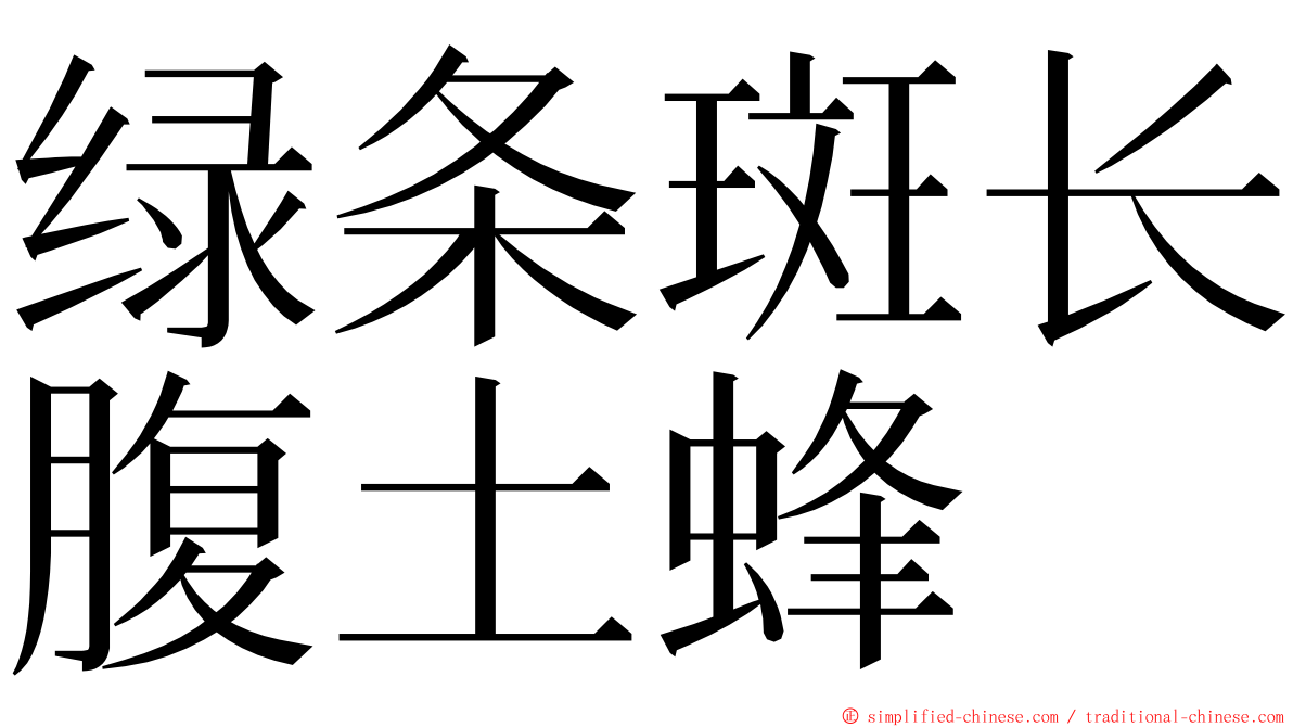 绿条斑长腹土蜂 ming font