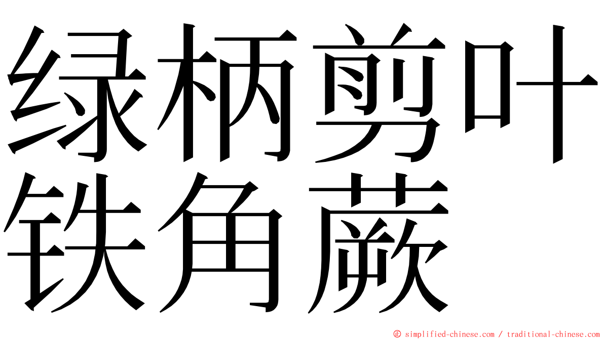 绿柄剪叶铁角蕨 ming font