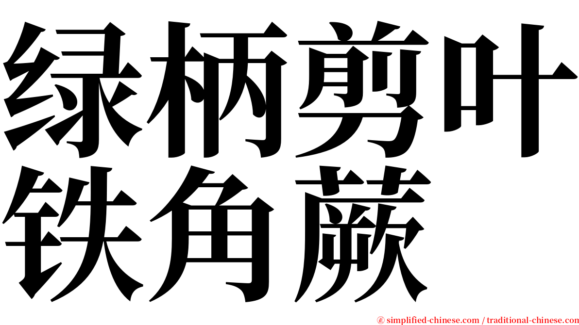 绿柄剪叶铁角蕨 serif font