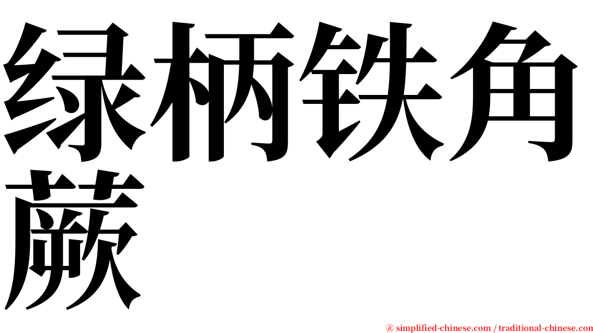 绿柄铁角蕨 serif font