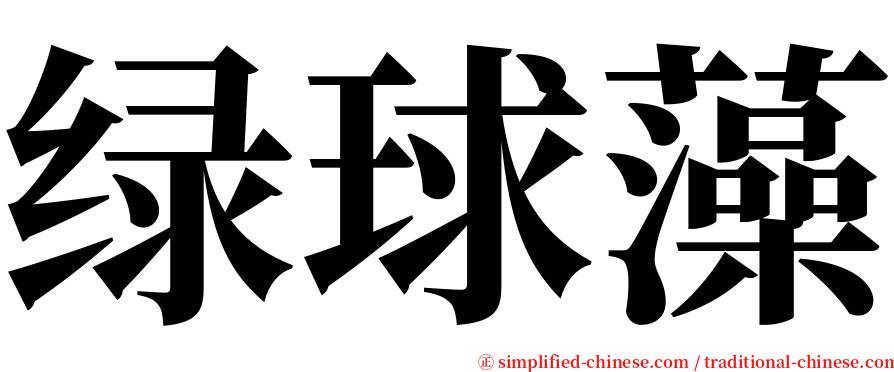 绿球藻 serif font