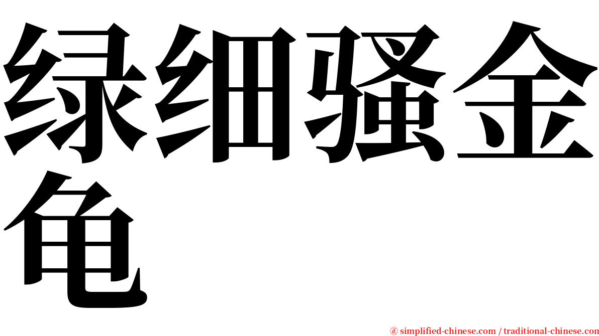 绿细骚金龟 serif font