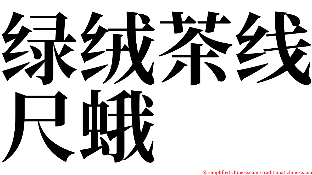 绿绒茶线尺蛾 serif font