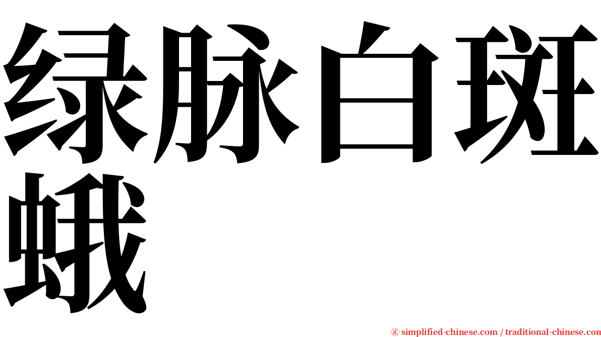 绿脉白斑蛾 serif font