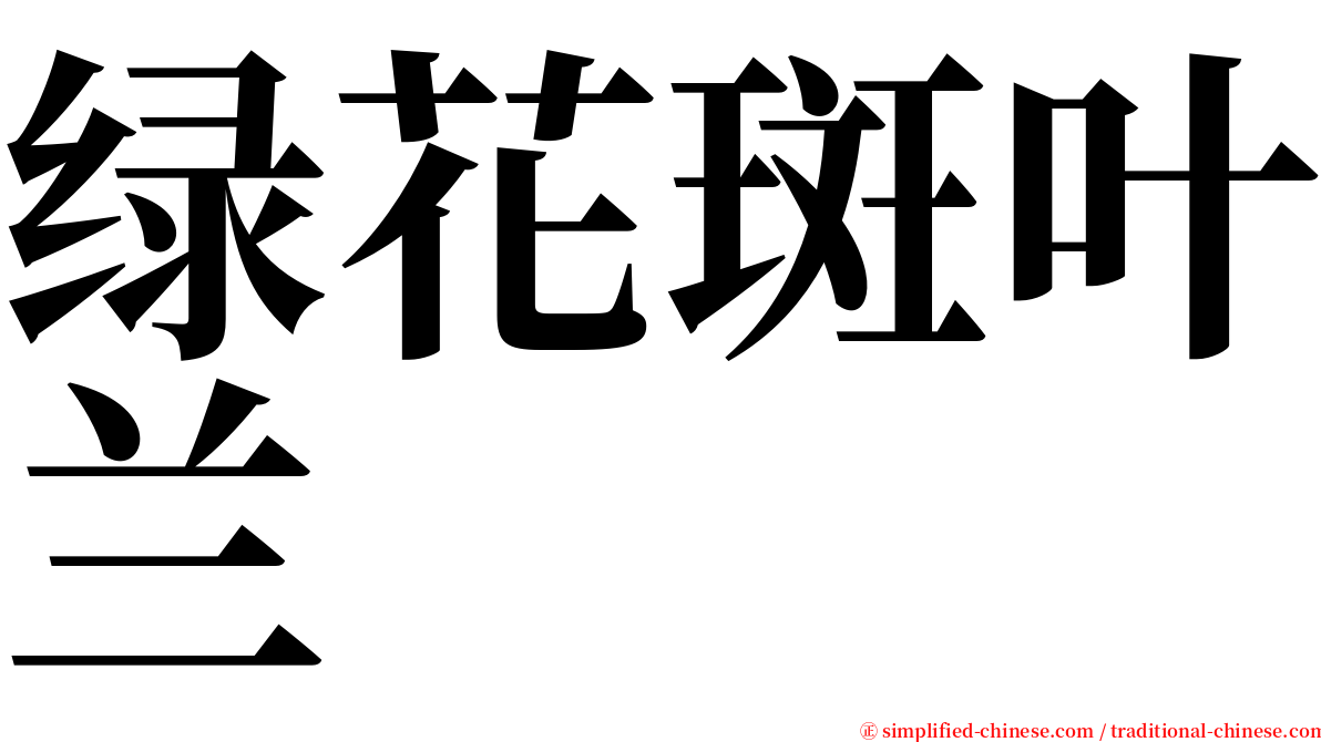 绿花斑叶兰 serif font