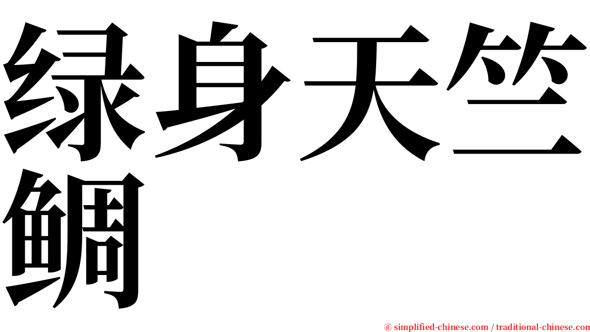 绿身天竺鲷 serif font