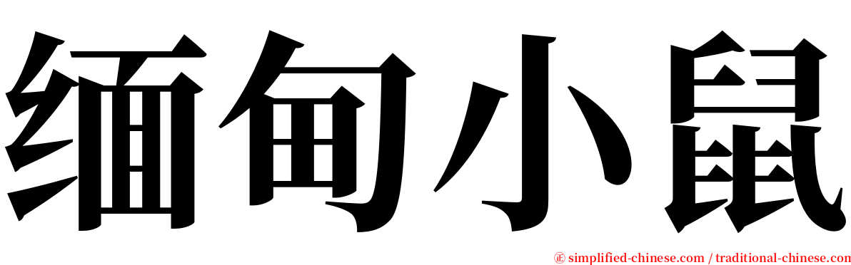 缅甸小鼠 serif font