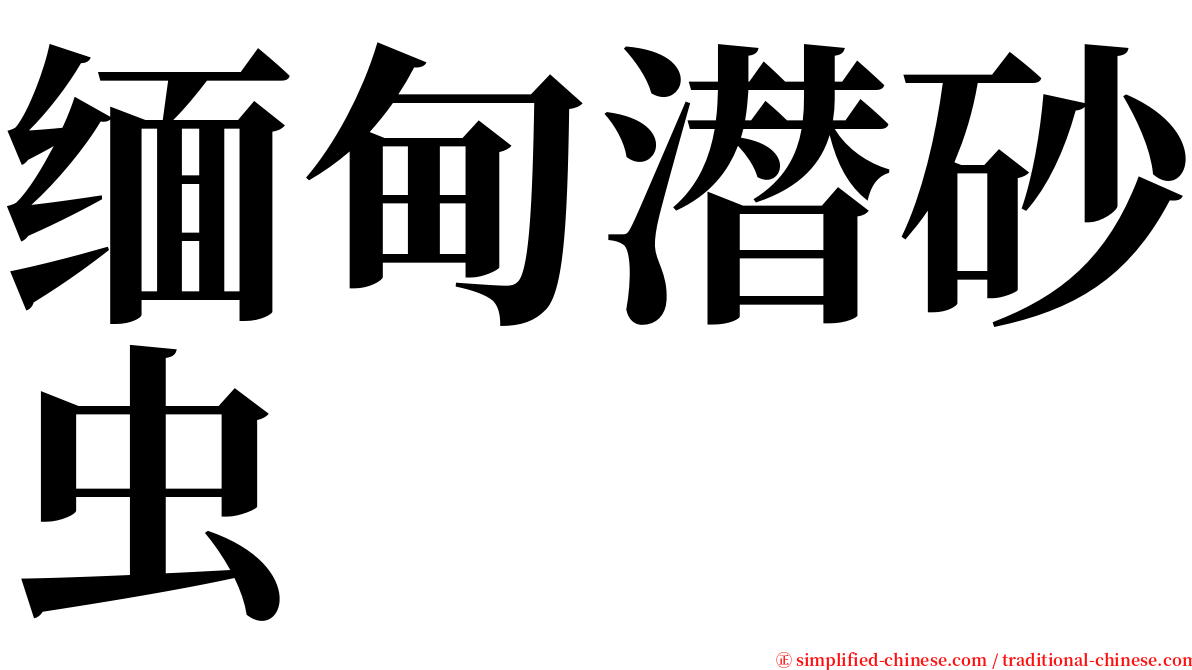 缅甸潜砂虫 serif font