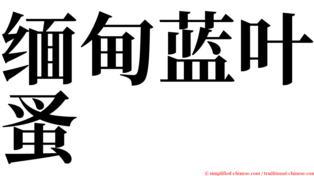 缅甸蓝叶蚤 serif font