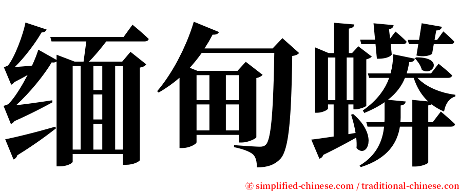 缅甸蟒 serif font