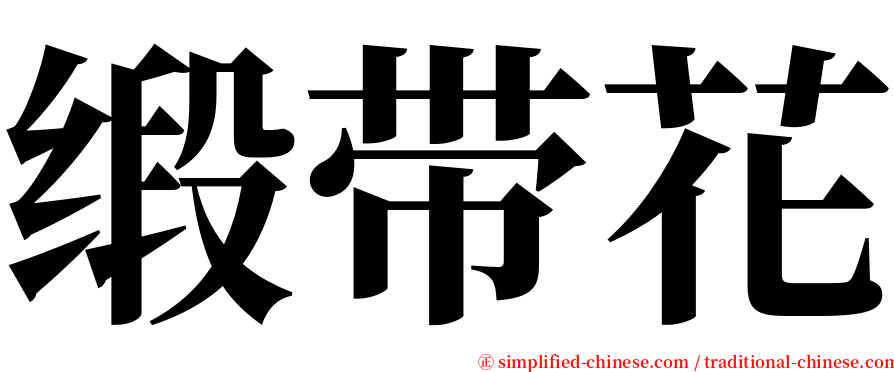 缎带花 serif font